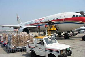 Import business